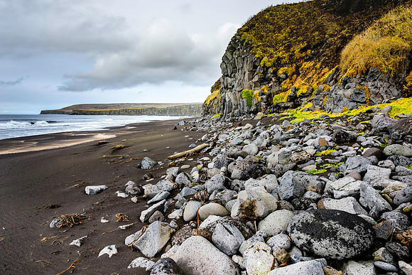 Pribilof Coastline, AK-L-113