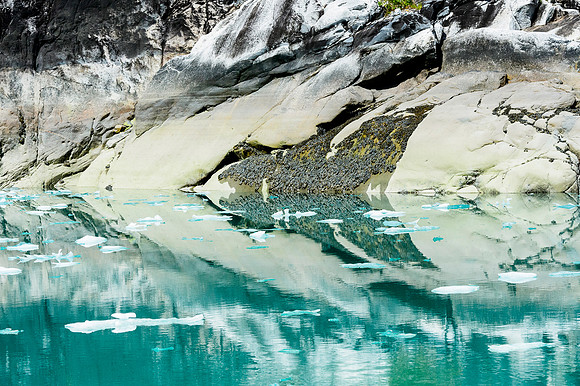 Fjord Reflections