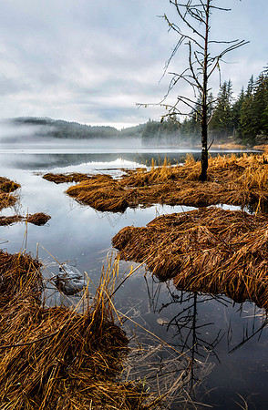 Auke Lake, AK-L-119