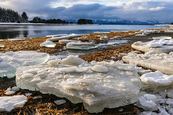 Low Tide Remnants, AK-L-160