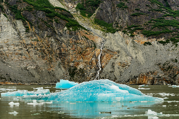 Upper Tracy Arm Fjord, AK-L-141