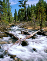 Landscapes