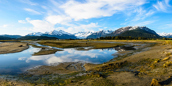 Mendenhall Wetlands, AK-L-104