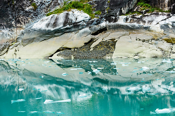 Reflections, Tracy Arm Fjord, RW-123